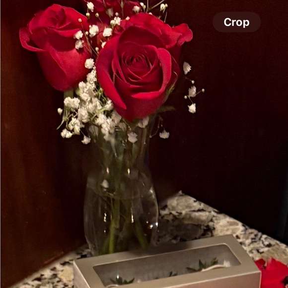 Other - Elegant Clear Glass Vase 

(Flowers Not Included)